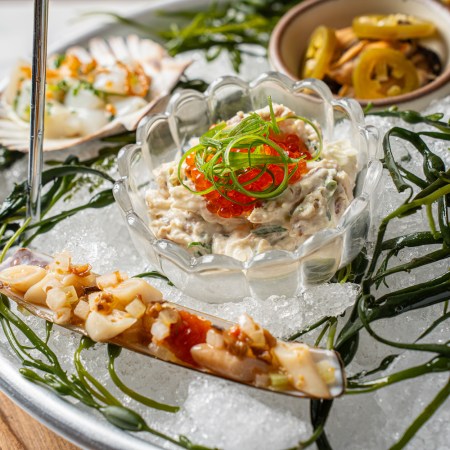 a closeup of razor clams on a shellfish tower with smoked fish salad and scallop crudo