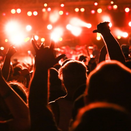 Music festival crowd