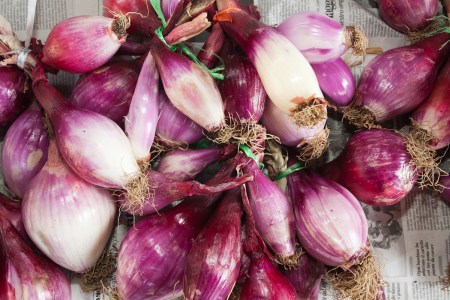 This Revered Calabrian Allium Should Have a Place at Your July Table