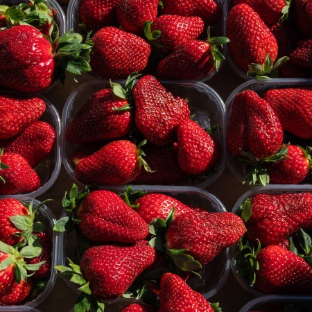 pints of strawberries in black containers