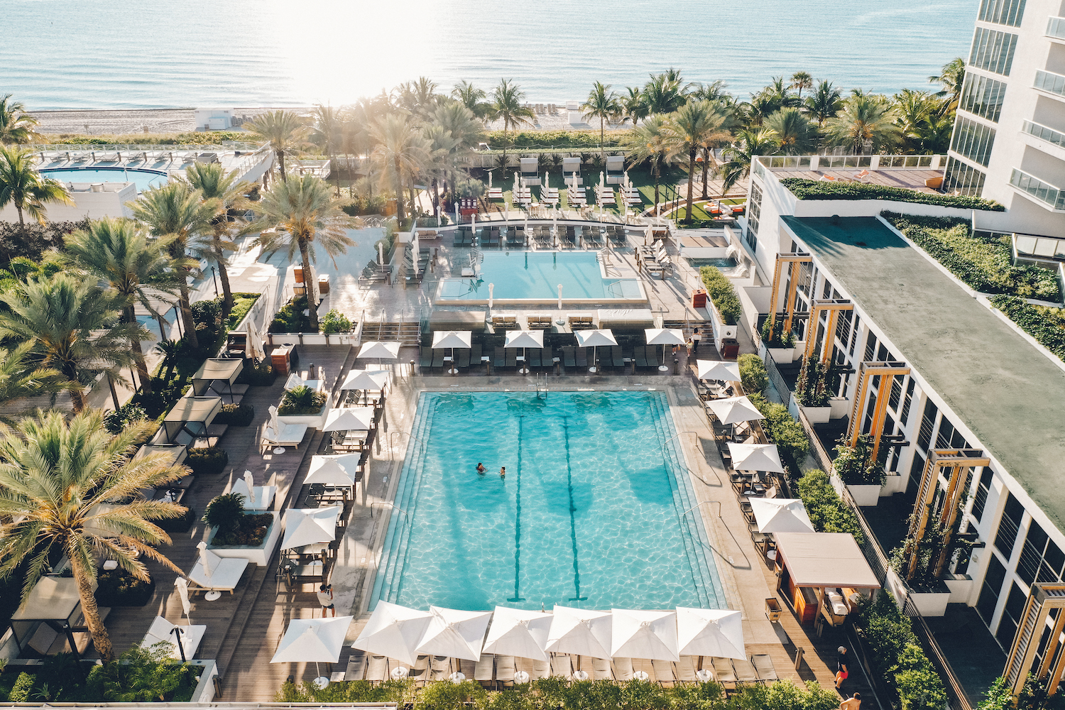 a drone shot of a blue swimming pool with white umbrellas and palm trees around it