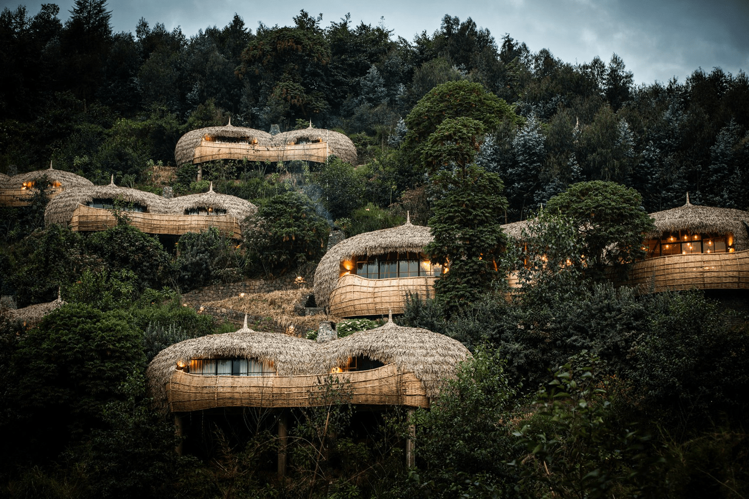 Wilderness Bisate
