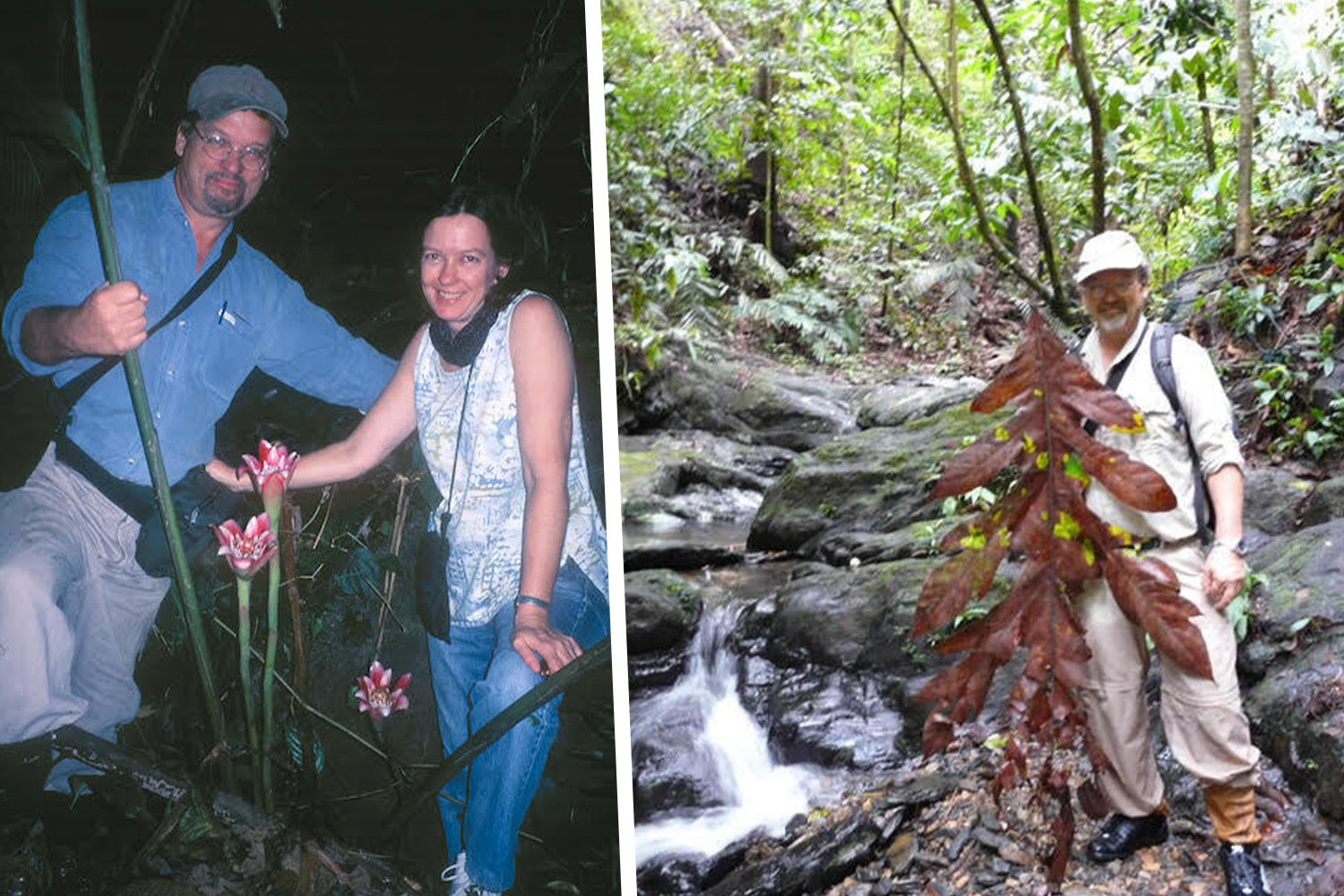 Alan Carle with his wife Susan; and in the woods holding up a plant.