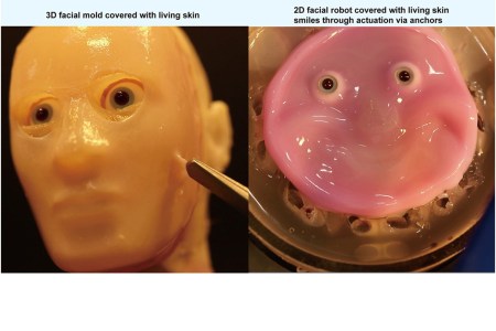 Skin robot