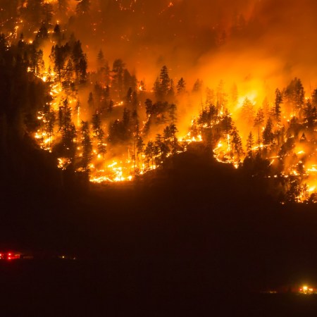 Wildfires