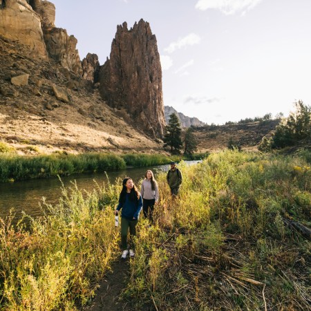 AllTrails just launched a major interface update
