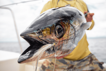 Mind the Gap: Fly Fishing the Darién Gap
