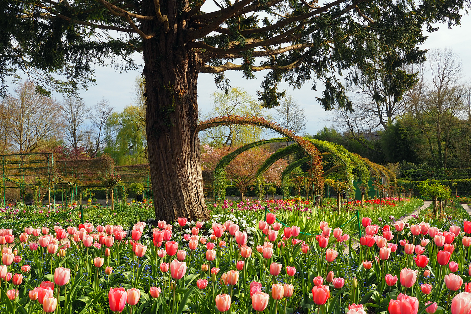 Giverny
