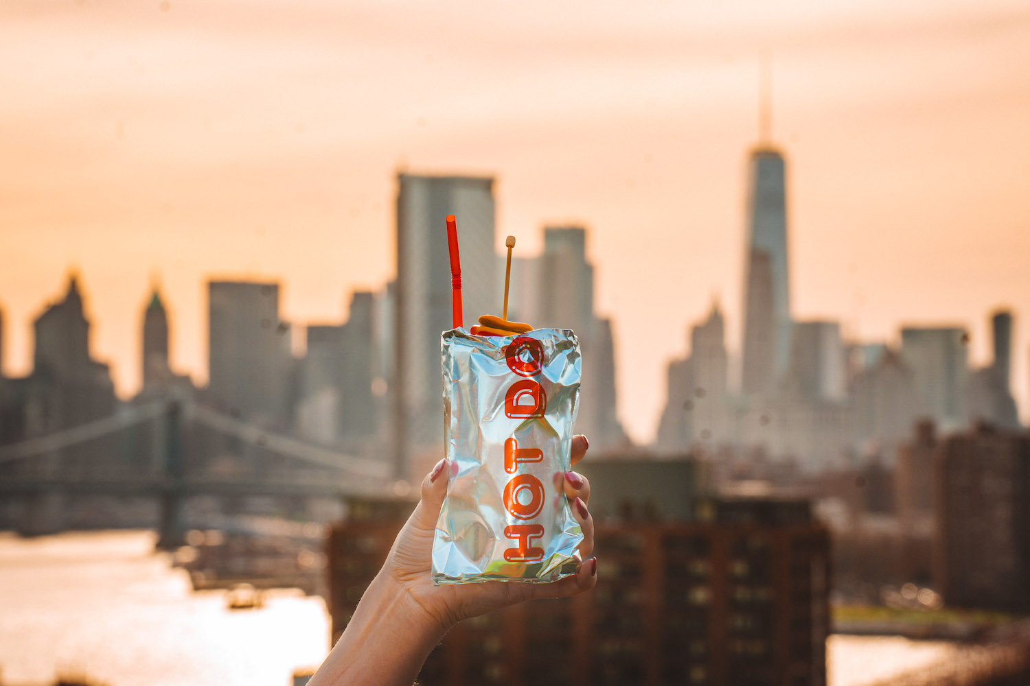 a hand holding a cocktail pouch in front of the nyc skyline at sunset