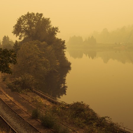 Wildfire smoke