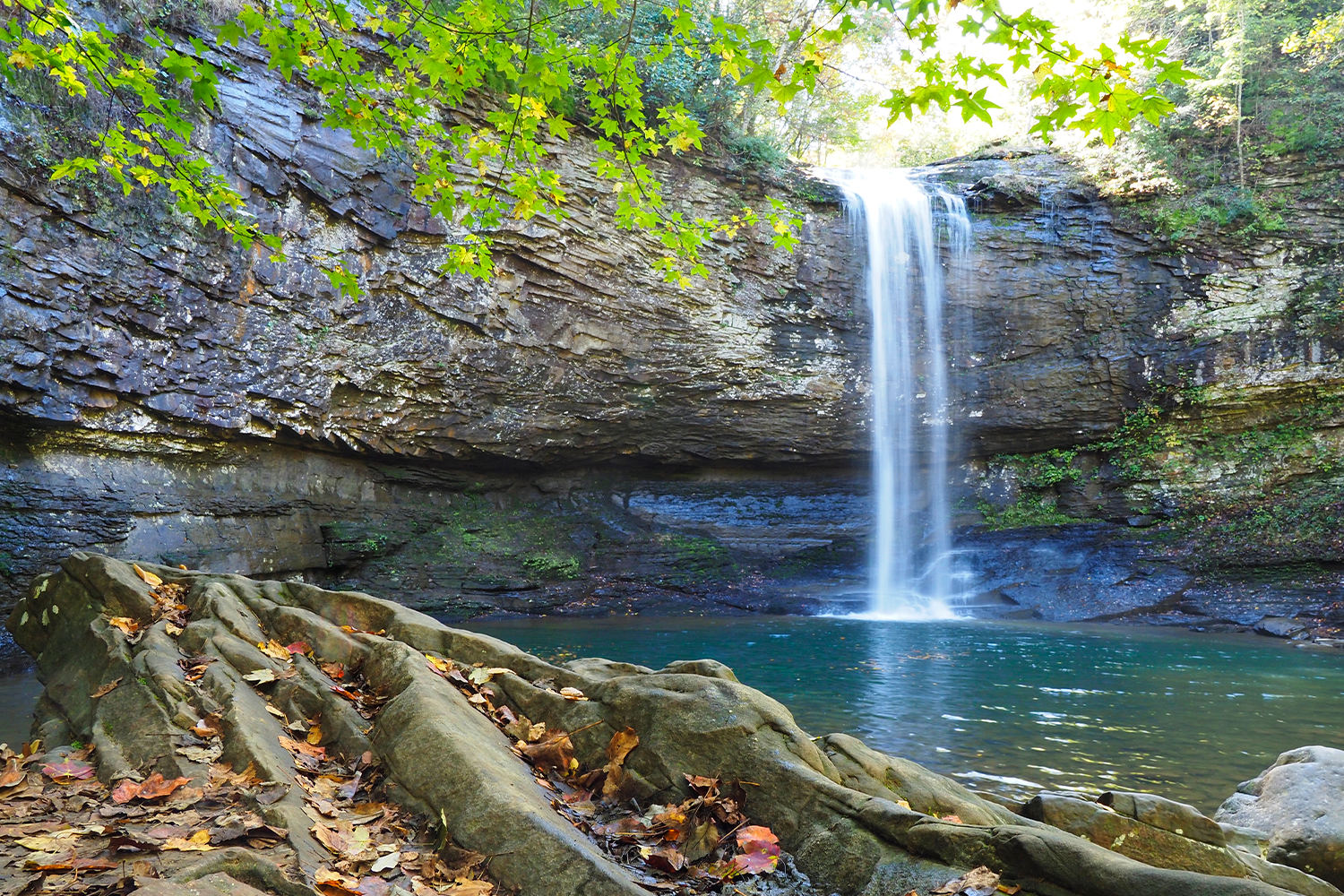 Hemlock Falls, one of the many Water Falls in Cloudland Canyon.