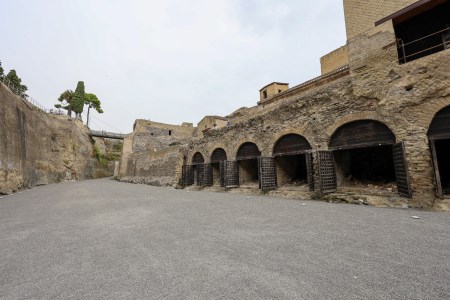 Scientists Are Using AI to Decode Ancient Roman Scrolls