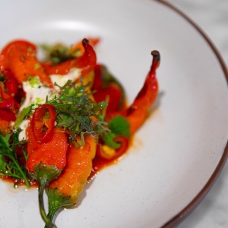 The roasted Jimmy Nardello peppers with hot honey ricotta and herbs at Sungold
