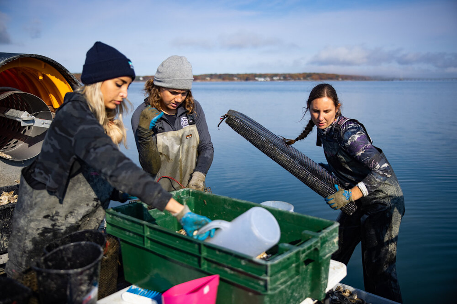 Alicia employs Amy as her Farm Manager, Chelsea in a flexible position and 3 other full-time employees
