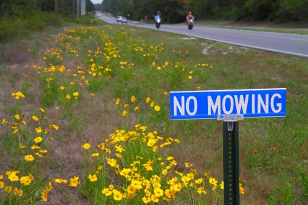 Florida’s Version of the Hamptons Is Attracting a National Audience