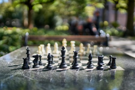 Brain Surgeons Figured Out a Way to Preserve a Patient’s Chess Knowledge