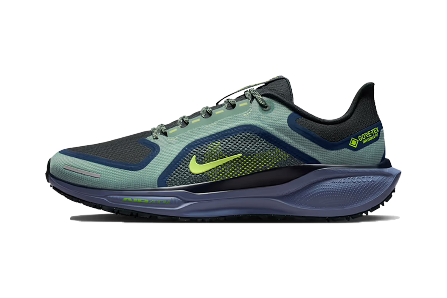 Nike Pegasus 41 GORE-TEX