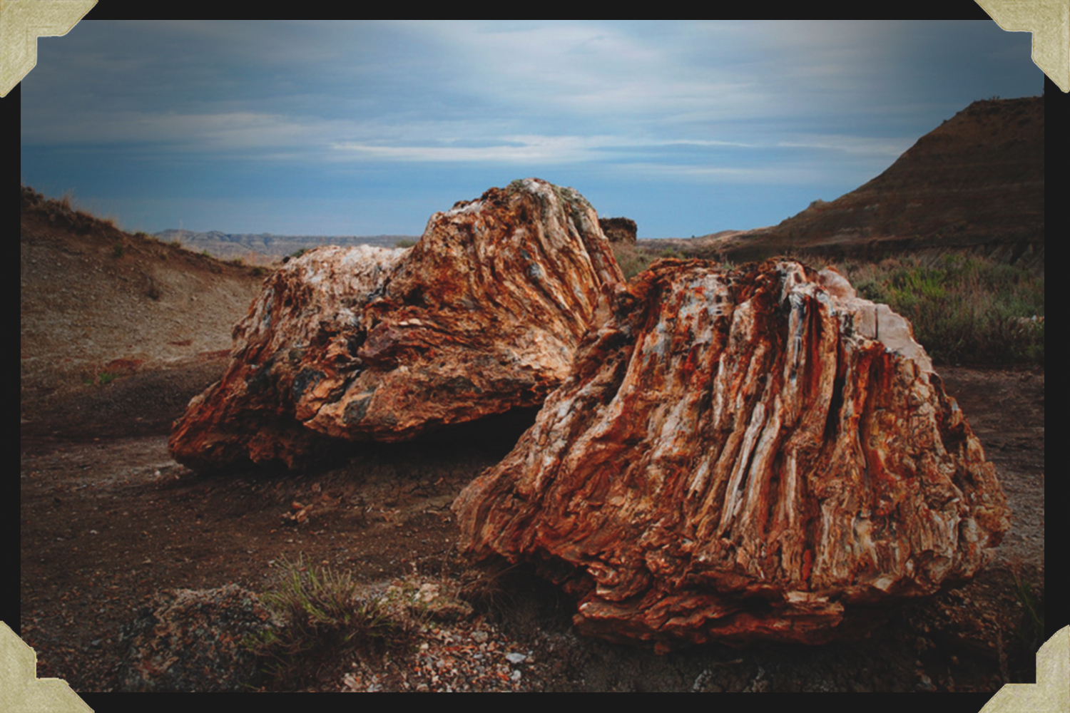 Petrified Forest Loop