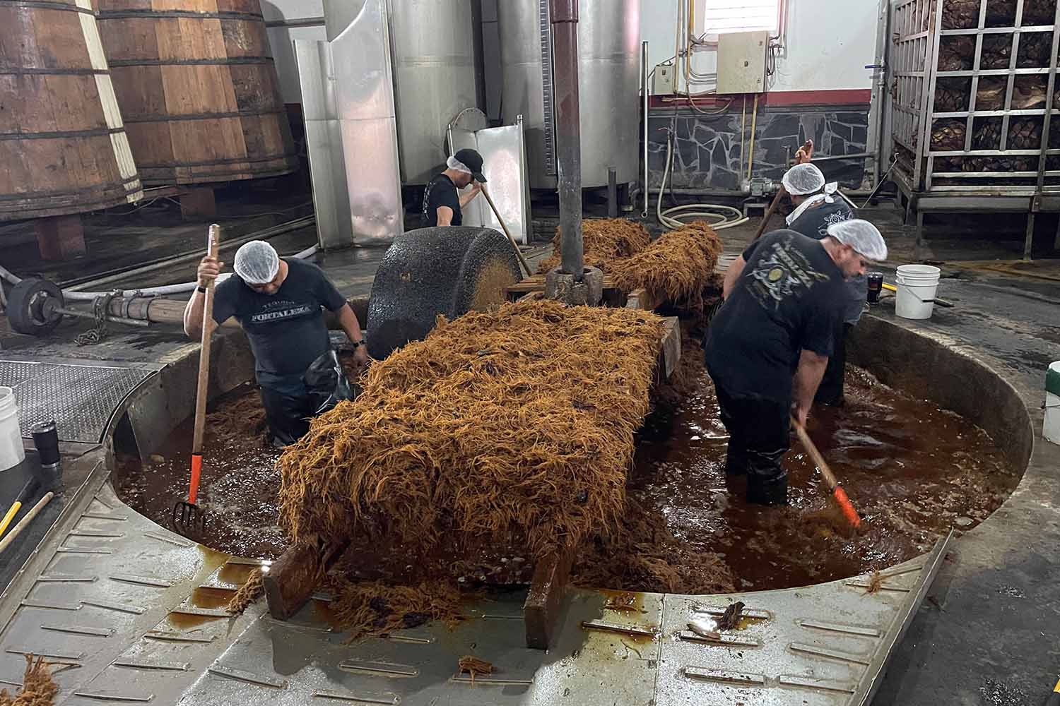 workers removing the fibers from Fortaleza's tahona