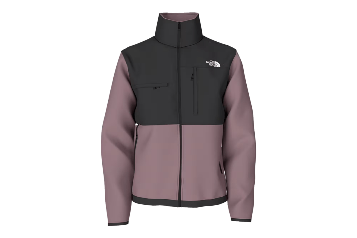 The North Face Denali 2 Fleece Jacket
