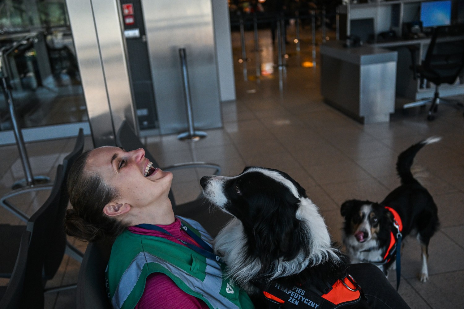 Very good airport therapy dogs