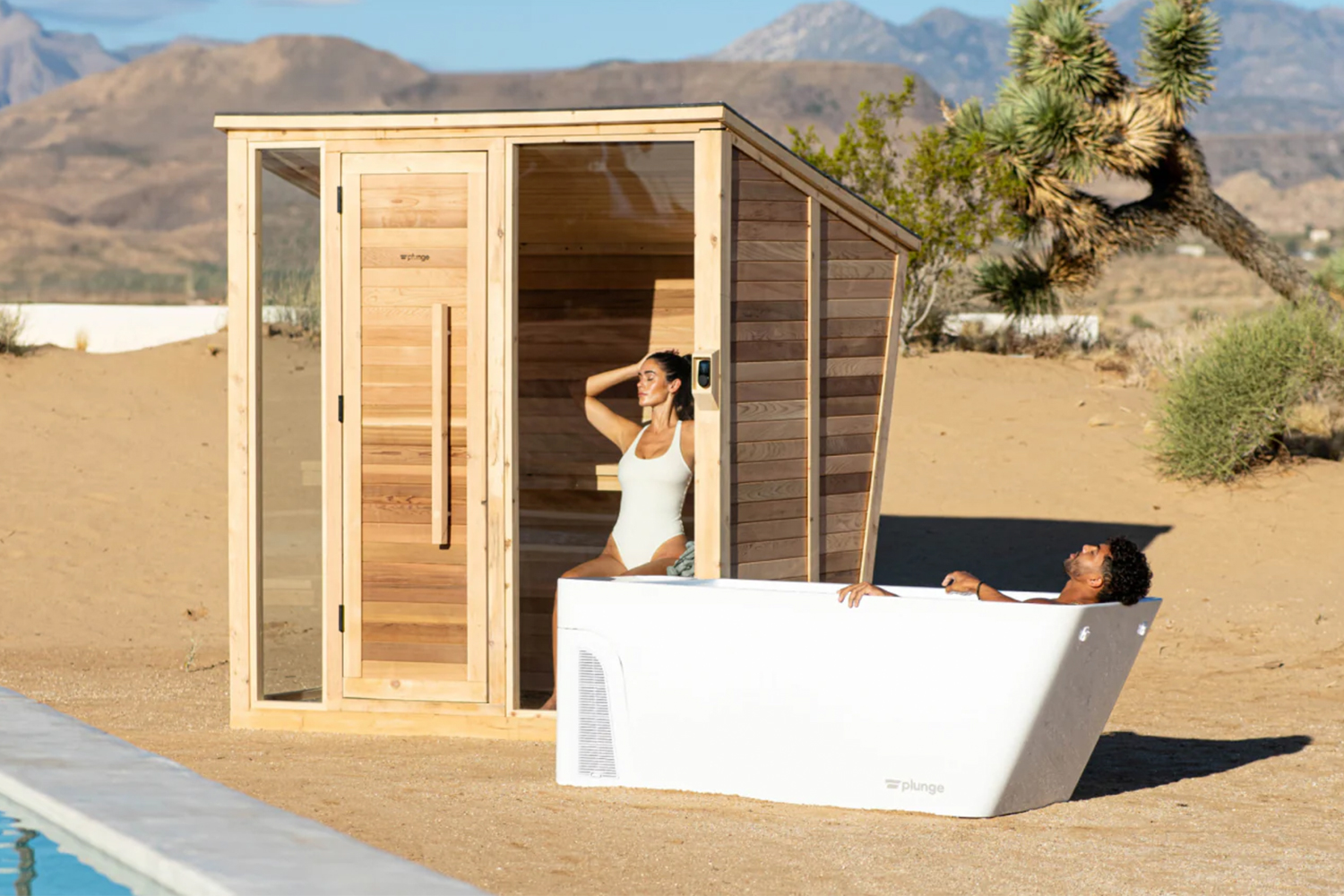 Plunge All-In + The Sauna
