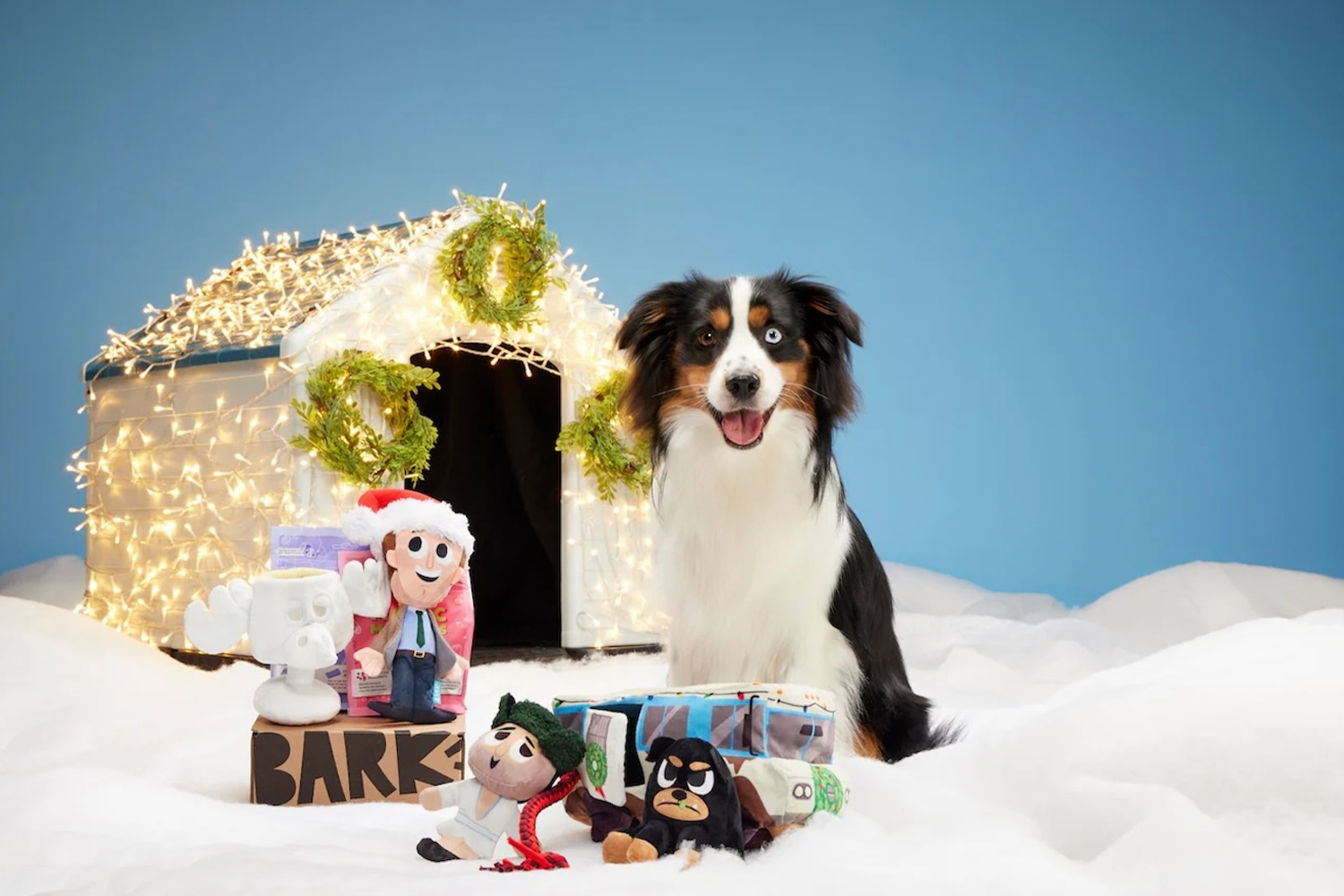 BarkBox