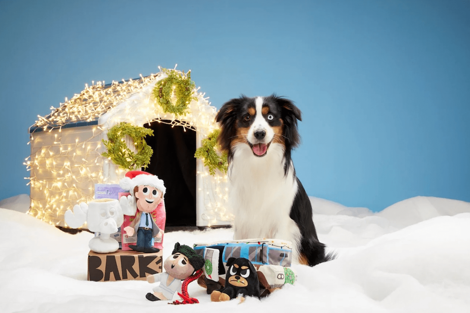 A Barkbox subscription