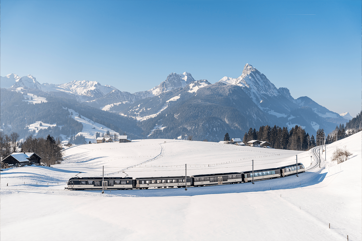All aboard the cheese train