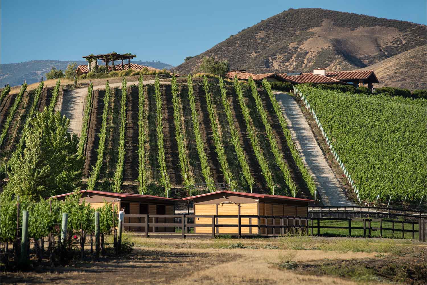 Crown Point Vineyards in Santa Ynez, CA — where their specialty is Cabernet Sauvignon