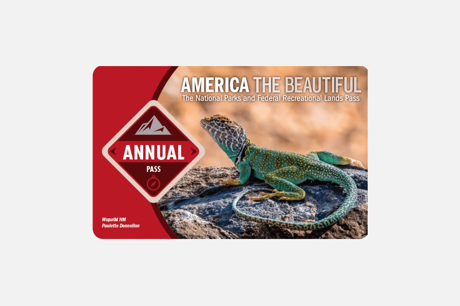 America the Beautiful Pass 2024/2025