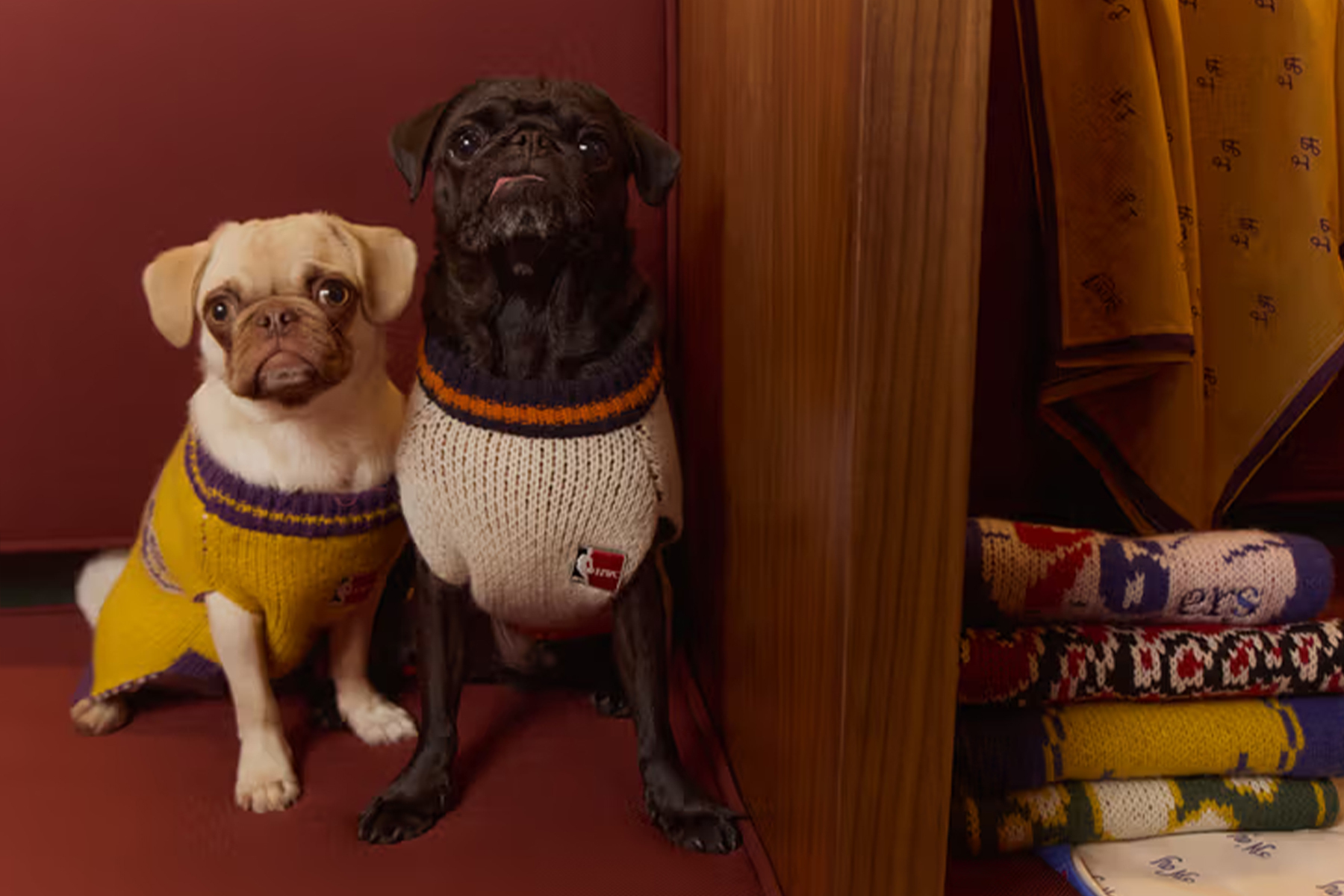 Pooch-obsessed presents.