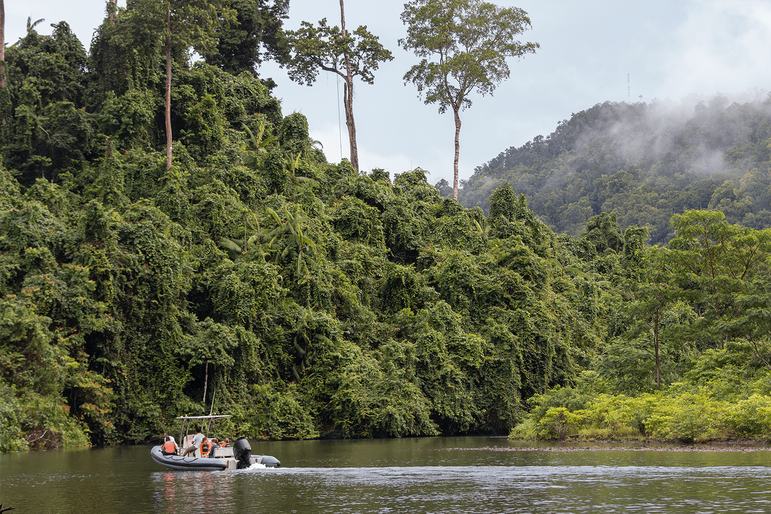 Prana crew transport passengers on a tender through a river past mangrove forest near Mayalibit Bay, off Waigeo’s southern coast
