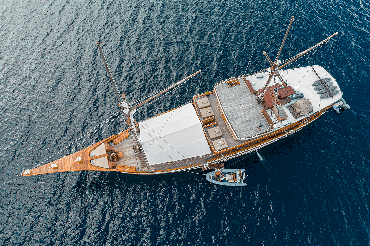 A bird’s eye view of Prana