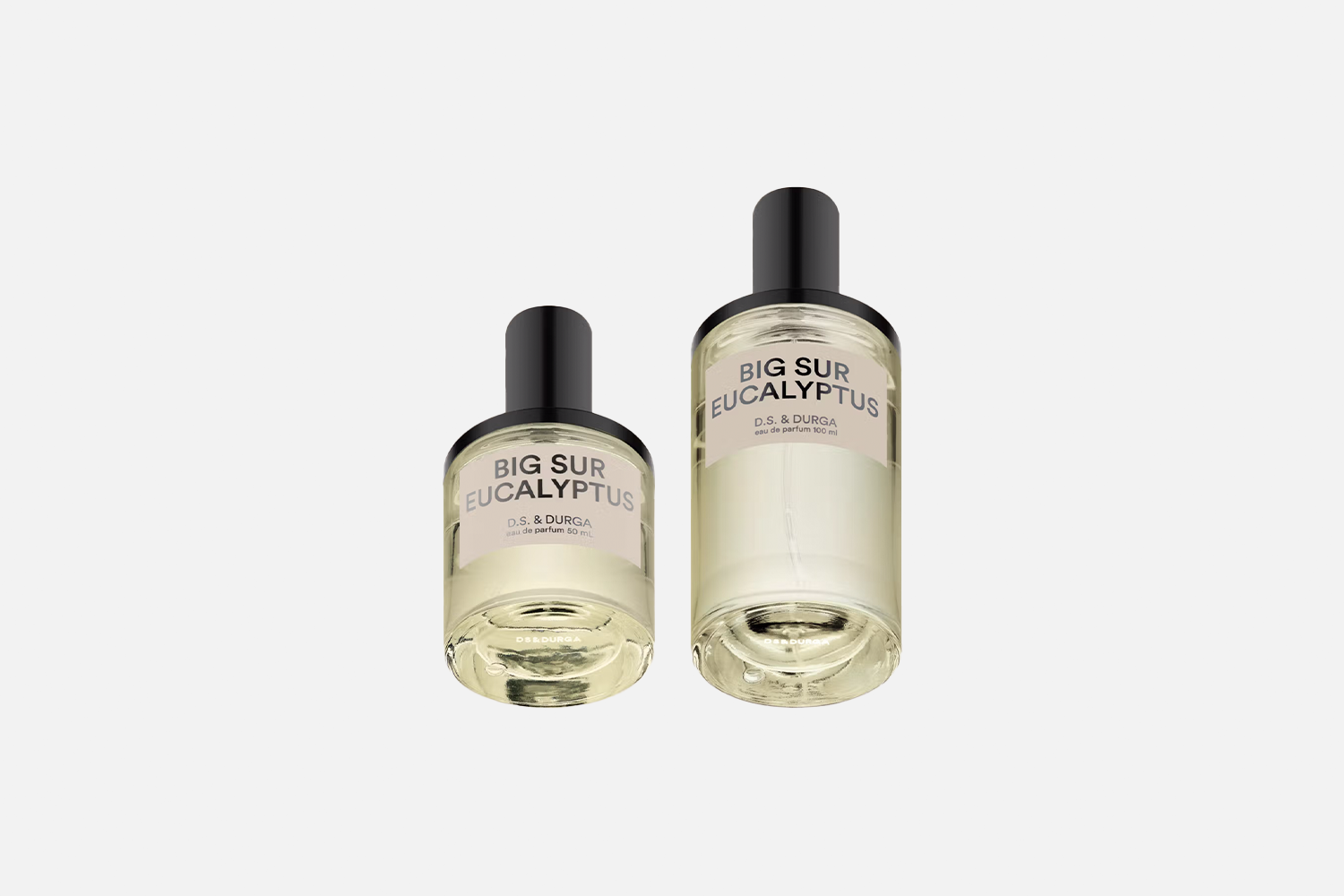 Best Verdant / Green Cologne – D.S. & Durga Big Sur Eucalyptus