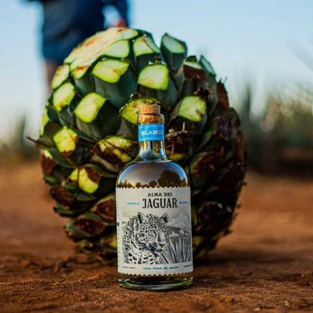 Alma Del Jaguar bottle and an agave