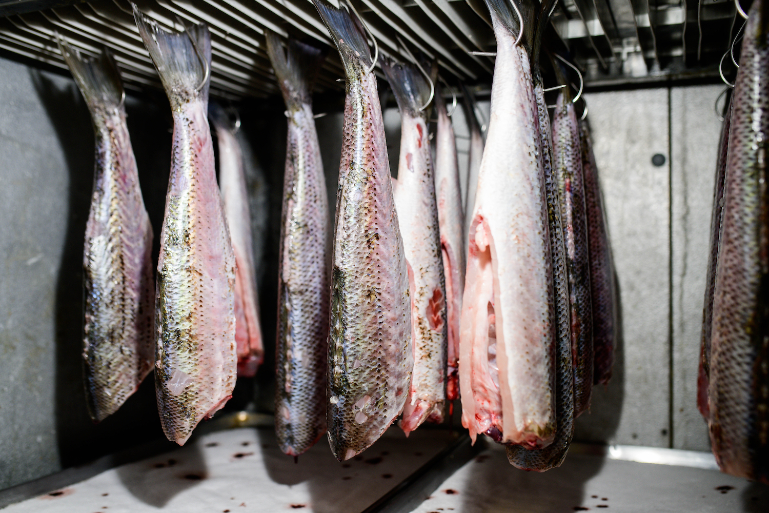 The dry-aged fish locker at The Dabney