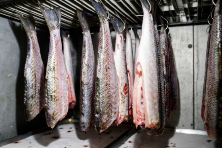 The dry-aged fish locker at The Dabney
