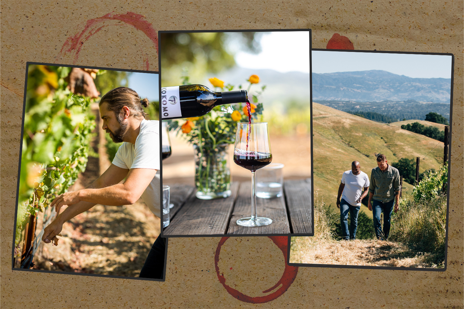 A collage of winemakers in Dry Creek Valley near Healdsburg in California, as well as the wine they make