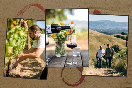 Get to Know the Winemakers of Dry Creek Valley