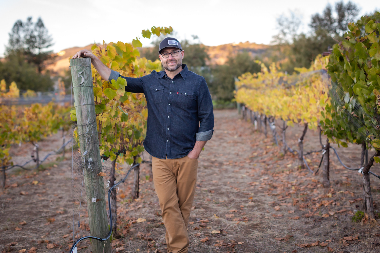 a winemaker in a denim shirt and trucker hat standing in the vineyard