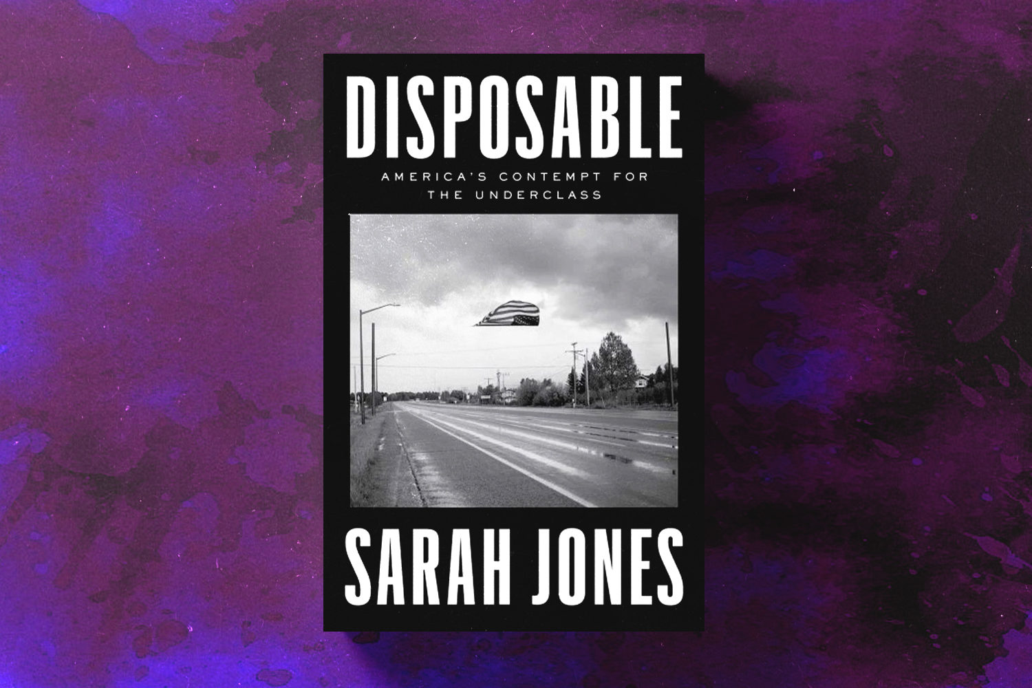 Sarah Jones, Disposable: America's Contempt for the Underclass
