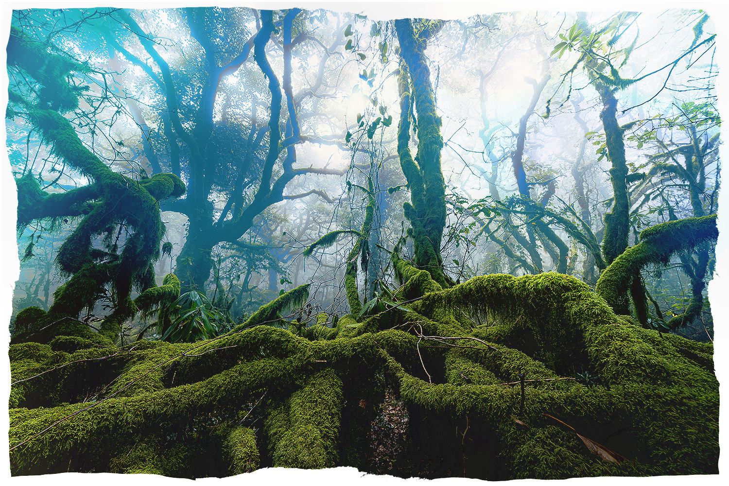 There's something to be said about letting yourself re-explore a familiar region.