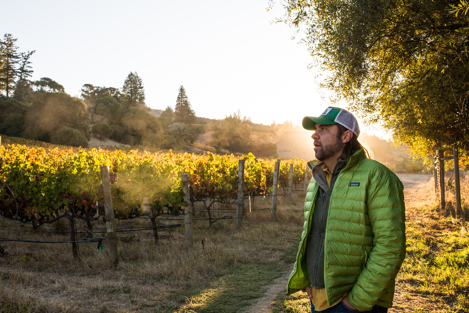 a winemaker in a green jacket and trucker hat standing in the vineyard