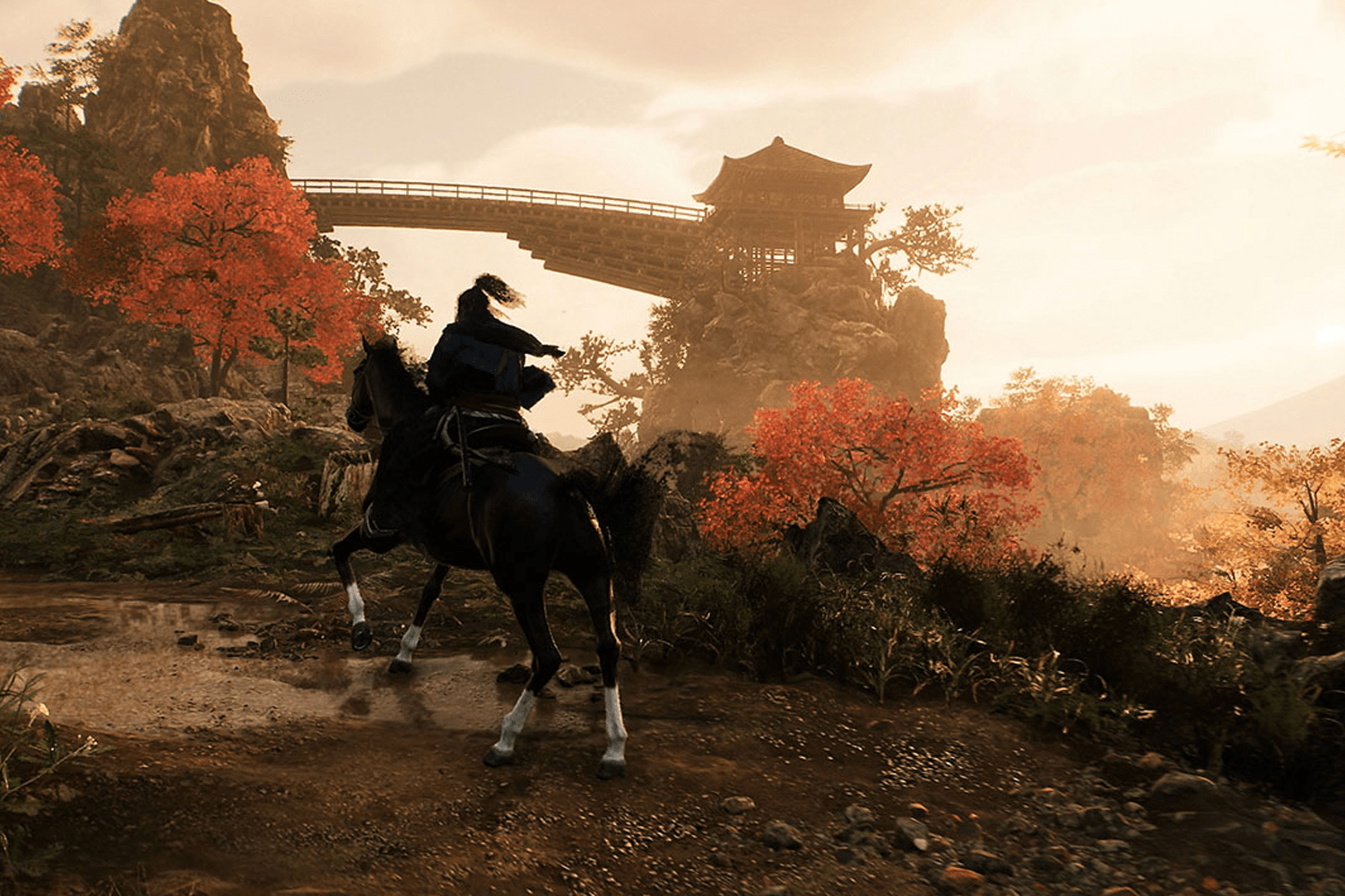 Rise of the Ronin