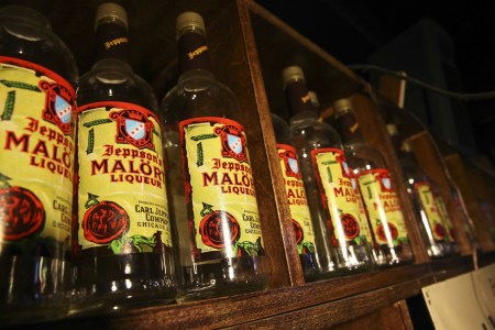 Malort bottles