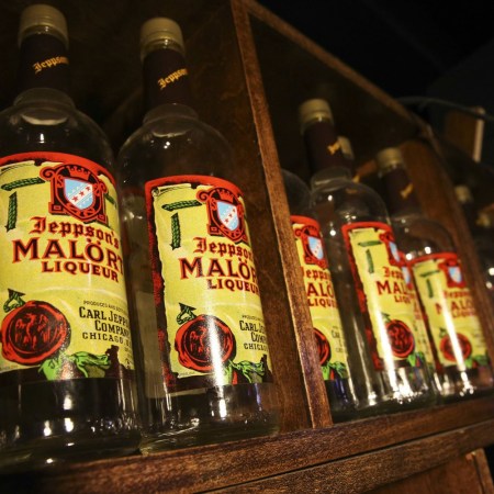 Malort bottles