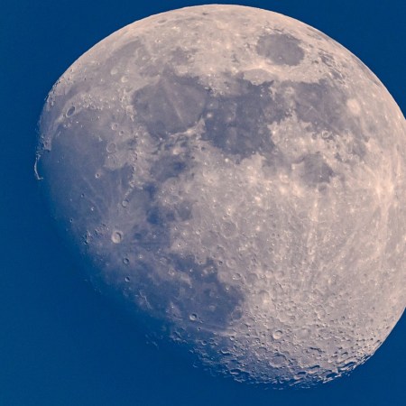 Earth's moon