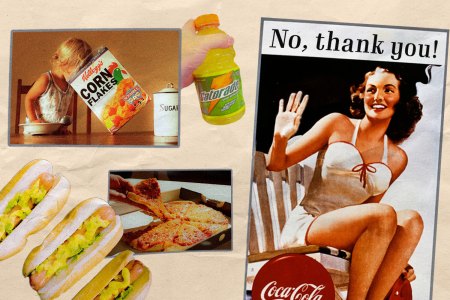 A Survivor’s Guide to Ultra-Processed Foods