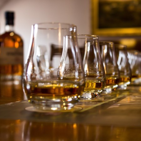 Scotch whisky tasting
